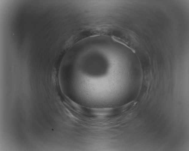 X0000070210231200605261300