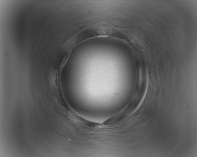 X0000070210233200605261300