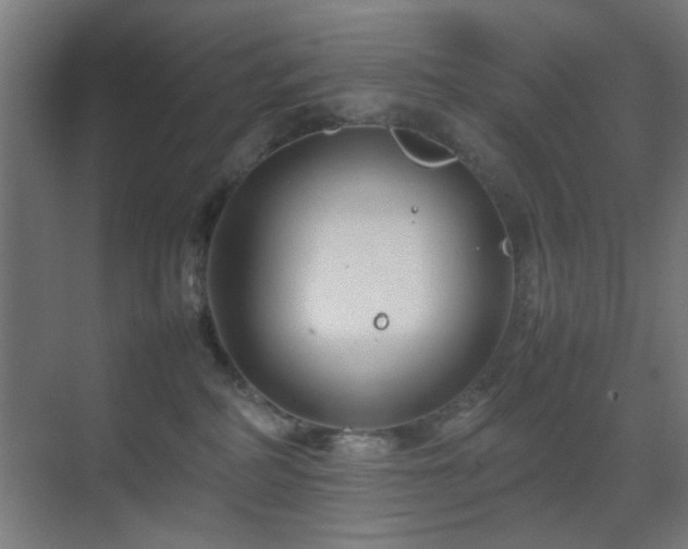 X0000070210234200605261300