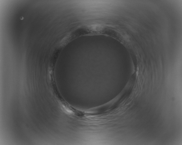 X0000070210235200605261300