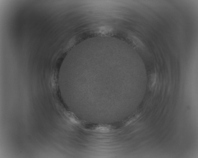 X0000070210236200605261300