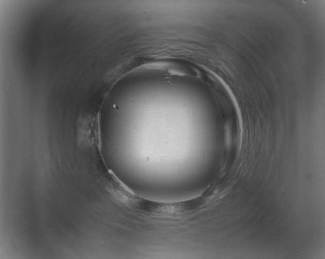 X0000070210237200605261300