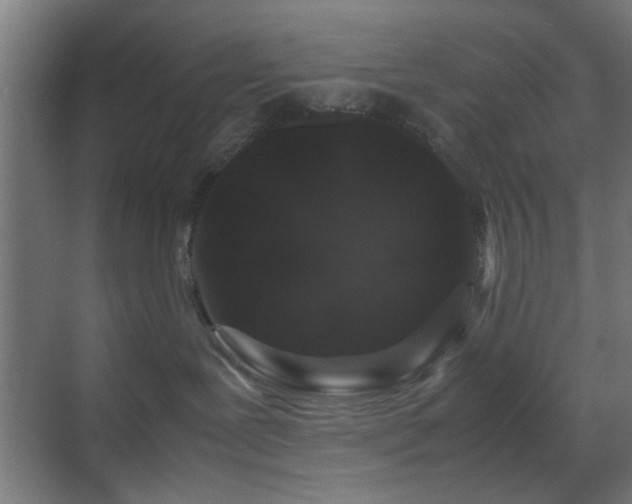 X0000070210239200605261300