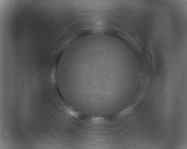 X0000070210240200605261300