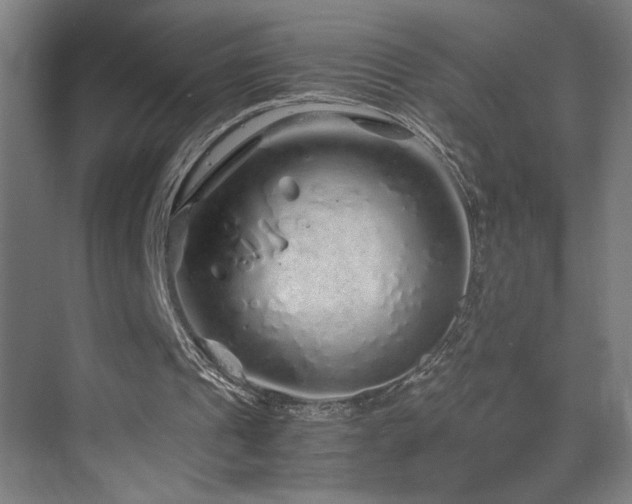 X0000070210241200605261259