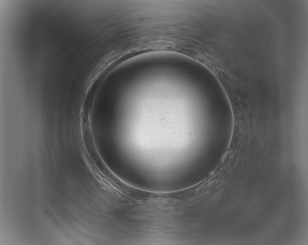 X0000070210242200605261259