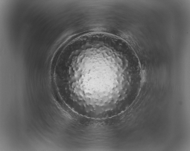 X0000070210243200605261259