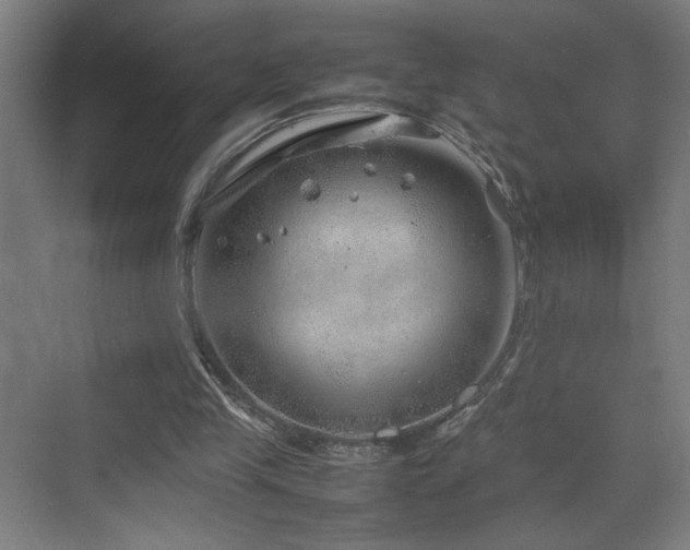 X0000070210245200605261259