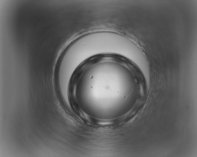 X0000070210248200605261259