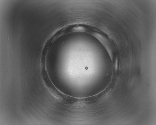 X0000070210252200605261259