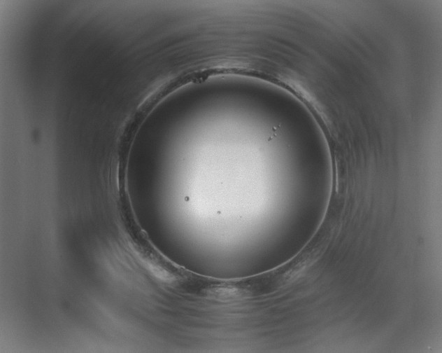 X0000070210253200605261259