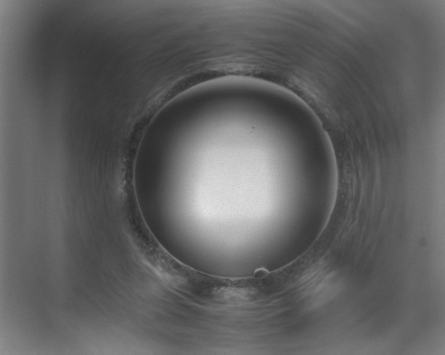 X0000070210255200605261259