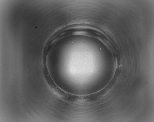 X0000070210256200605261259