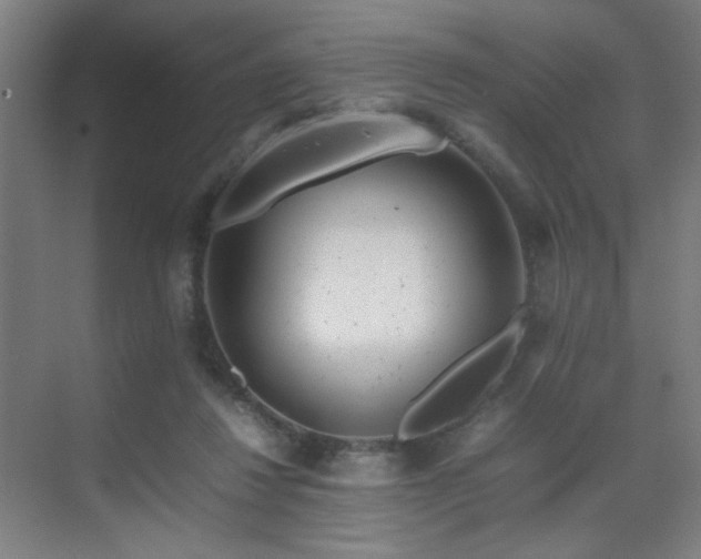 X0000070210260200605261259