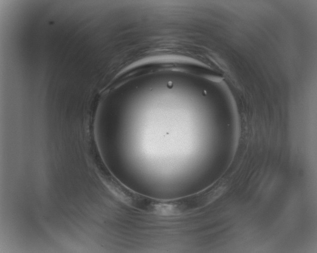 X0000070210265200605261259