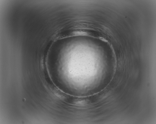 X0000070210267200605261259