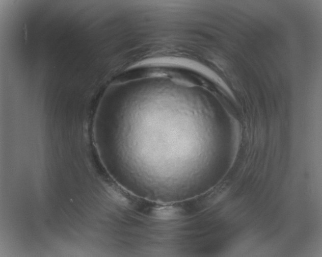 X0000070210269200605261300