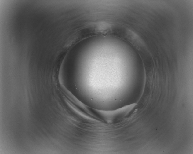 X0000070210270200605261300