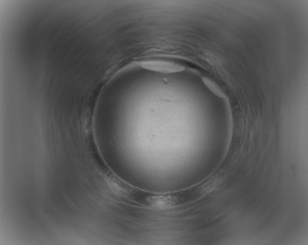 X0000070210273200605261300