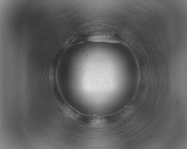 X0000070210274200605261300