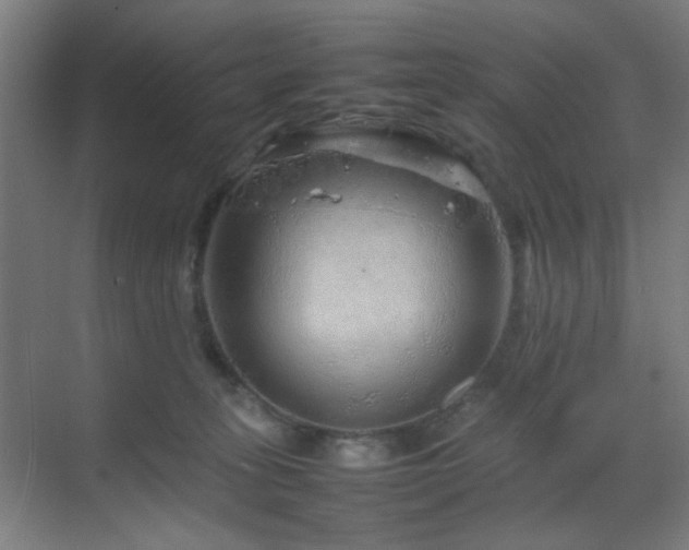 X0000070210275200605261300