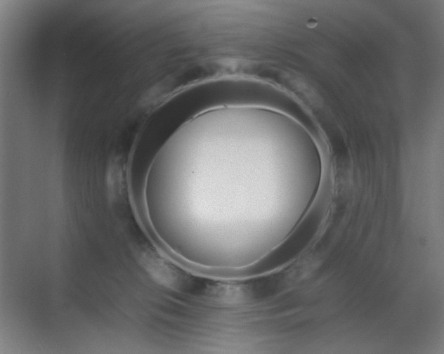 X0000070210276200605261300