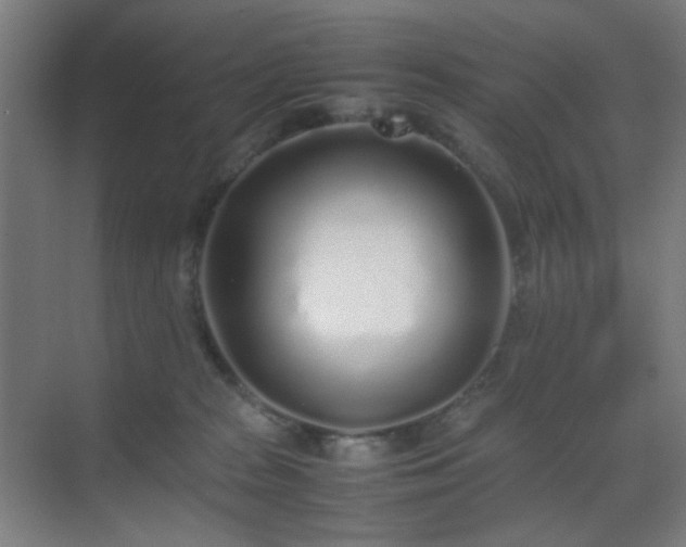 X0000070210277200605261300