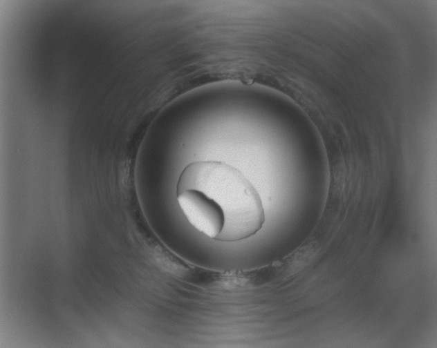 X0000070210278200605261300