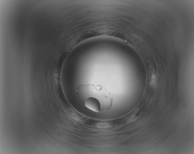 X0000070210279200605261300