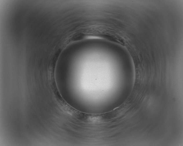 X0000070210283200605261300