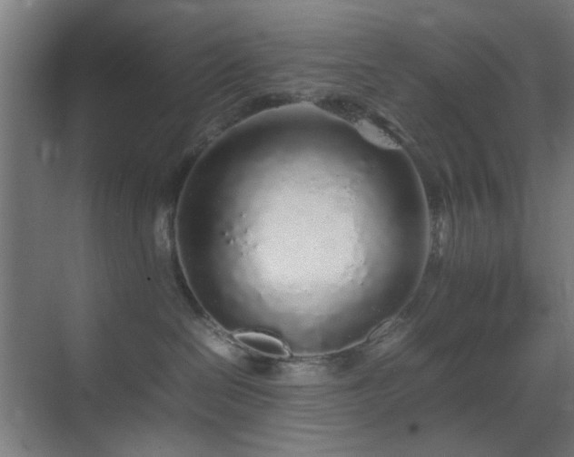 X0000070210286200605261300