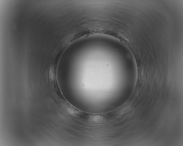 X0000070210287200605261300