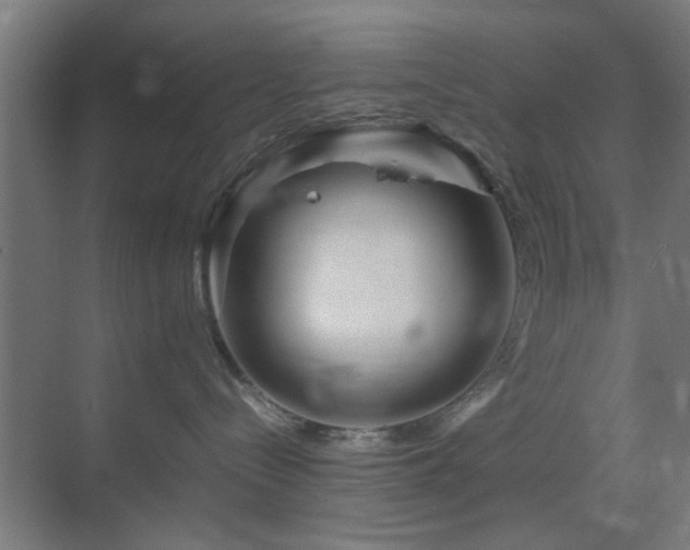 X0000070210288200605261300