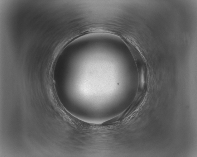 X0000070210289200605261259