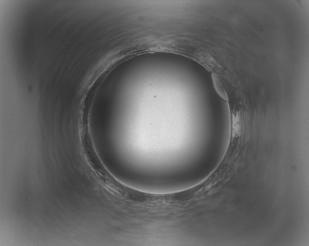 X0000070210291200605261259