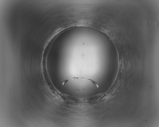 X0000070210292200605261259