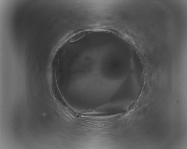 X0000070210295200605261259