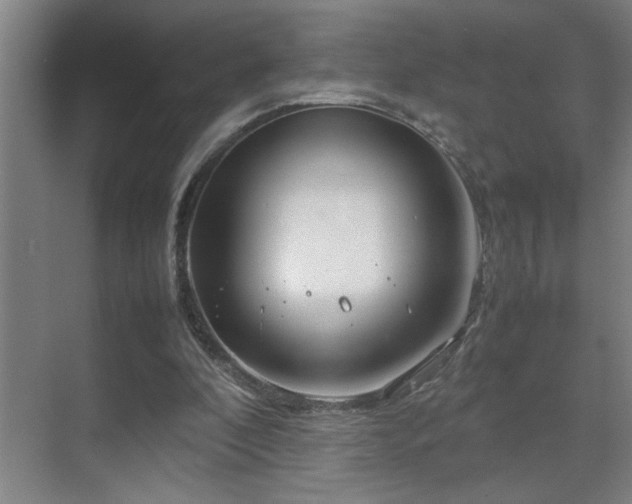 X0000070210296200605261259