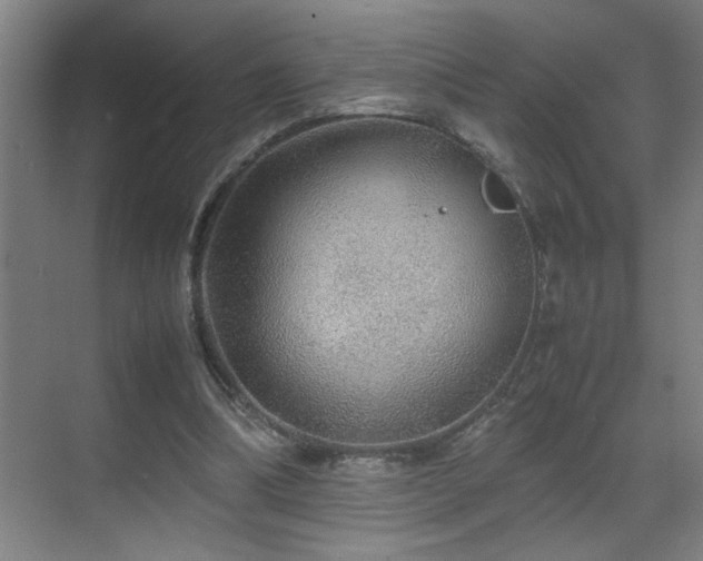 X0000070210298200605261259