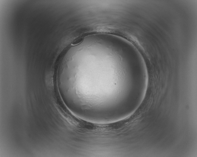 X0000070210299200605261259