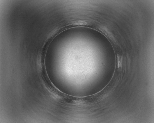 X0000070210300200605261259