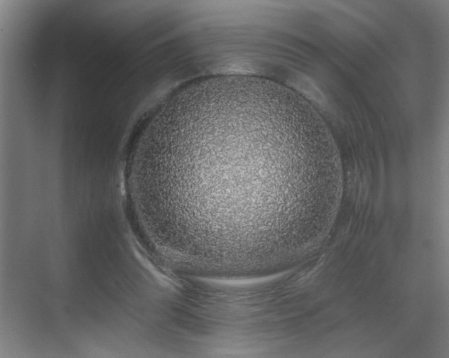 X0000070210302200605261259