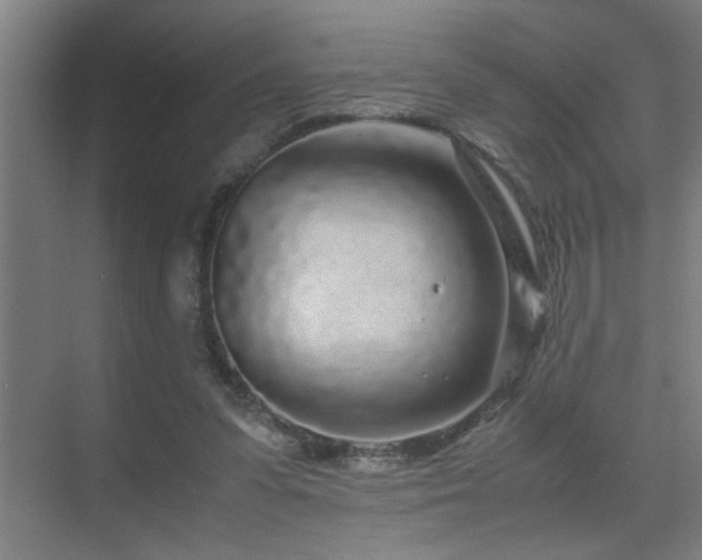 X0000070210303200605261259