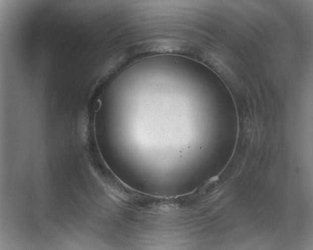 X0000070210304200605261259