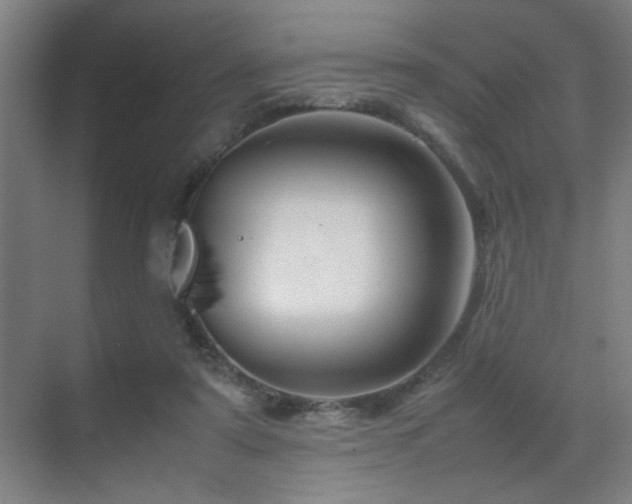 X0000070210307200605261259