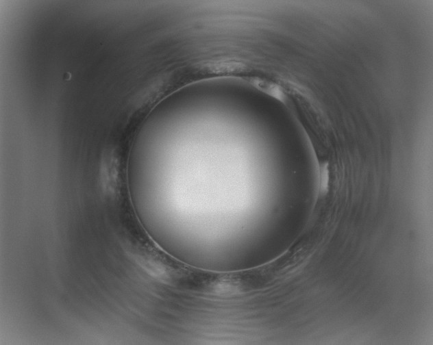 X0000070210308200605261259