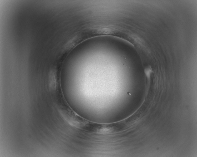 X0000070210312200605261259