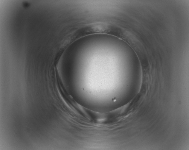 X0000070210317200605261259