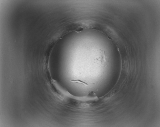 X0000070210318200605261259