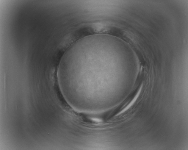 X0000070210319200605261259